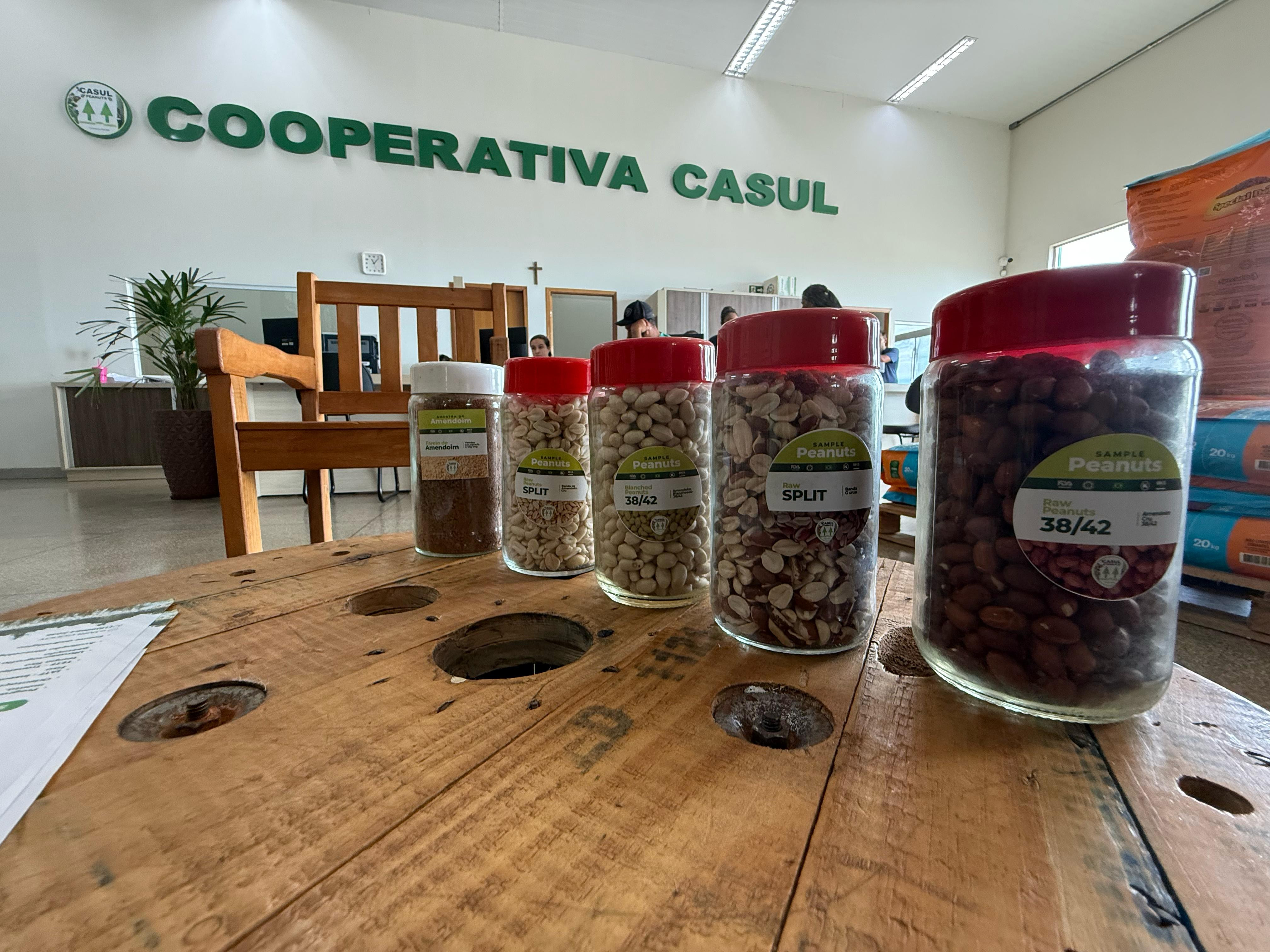 Cooperativa Casul chega ao MS e implanta primeira indústria de processamento de amendoim do estado